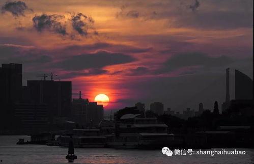 她若旭日初升,青春绽放的璀璨光芒