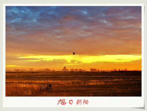 她若旭日初升,青春绽放的璀璨光芒