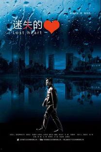 迷失的心,探寻自我与世界的交织之旅