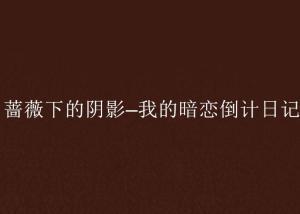 爱的倒计,情感旅程的倒数时刻