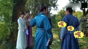 扇中人,探寻东方韵味与智慧