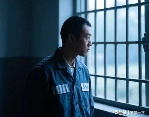 染指枭雄,权谋巅峰的传奇人生