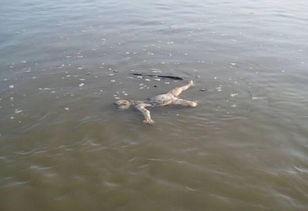 尸体沐浴,揭开死亡前的最后仪式