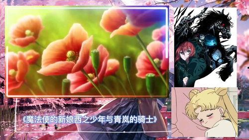 魔法使的新娘 西之少年与青岚的骑士,魔法使新娘的传奇邂逅