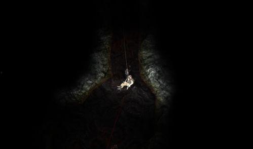 凝望深渊,探寻人性与命运的深邃之旅