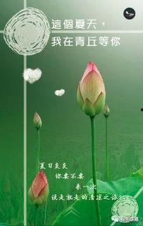 我在夏天等你,浪漫时光里的温馨邂逅