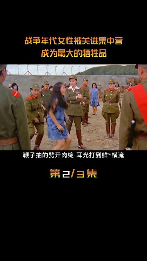 少女集中营,揭开历史阴影下的残酷真相